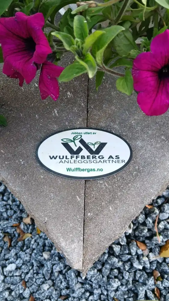 Klistremerket «Jobben utført av Wulffberg AS Anleggsgartner» på en støttemur med lilla petunia